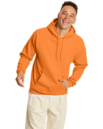 Hanes Unisex Ecosmart Puller Hooded Sweatshirt